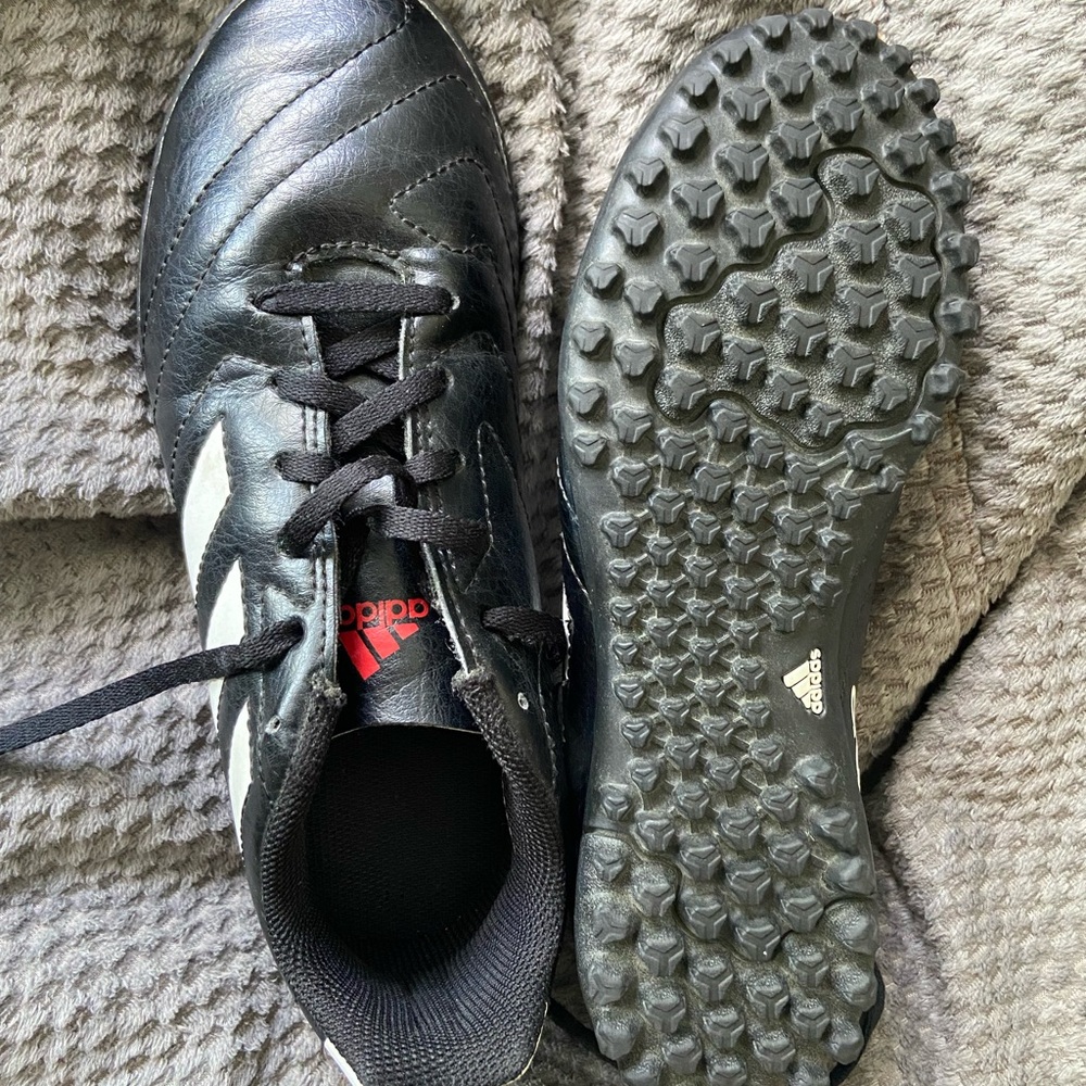 Adidas Black Interior Shoe
